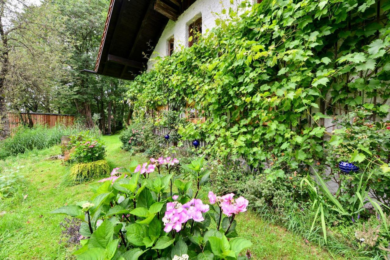 Hofatelier Menacher Neureichenau Buitenkant foto
