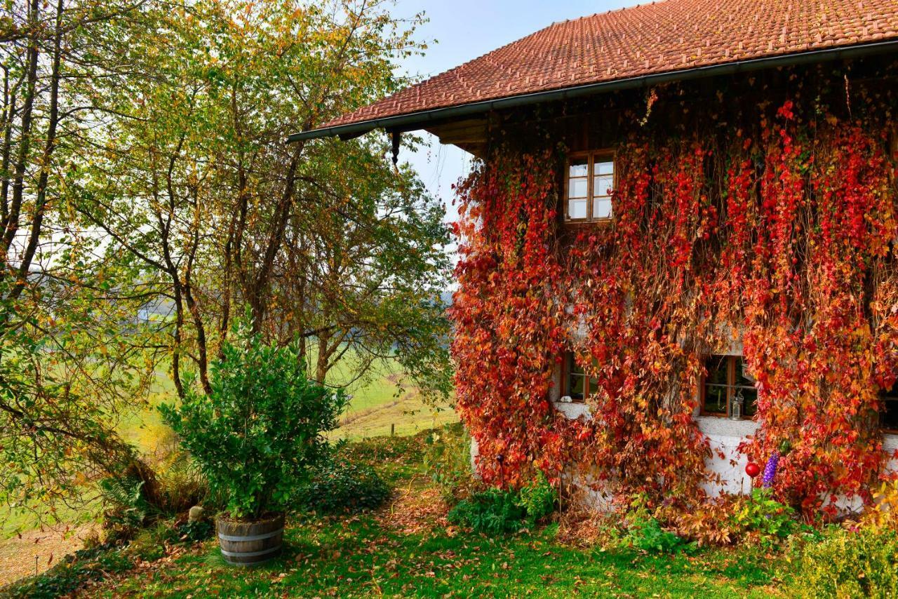 Hofatelier Menacher Neureichenau Buitenkant foto
